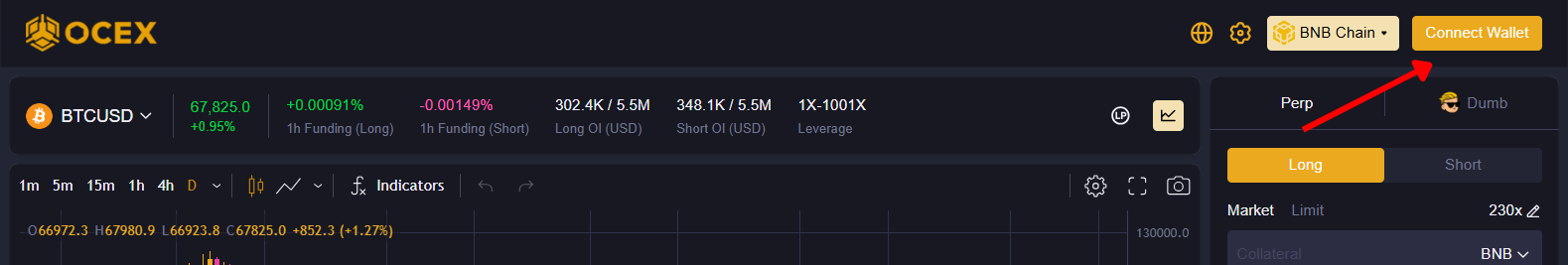 Connect Wallet Interface